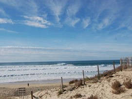 Balade sur la Presqu&rsquo;île du Cap Ferret le 17 juin 2022